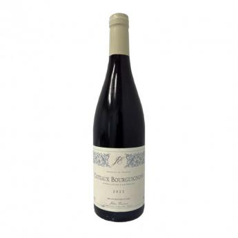 Jehan Emonin - Coteaux Bourguignons Blanc 2022 (750ml) (750ml)
