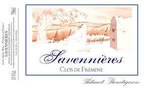 Thibaud Boudignon - Boudignon Savennieres Clos de Fremine 2021 (750ml) (750ml)