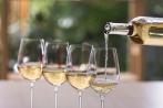 White Wines of the World!