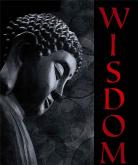 B Wise Vineyard - Wisdom Cabernet Sauvignon 2018 (750)