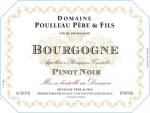 Domaine Poulleau - Poulleau Bourgogne Pinot Noir 2020
