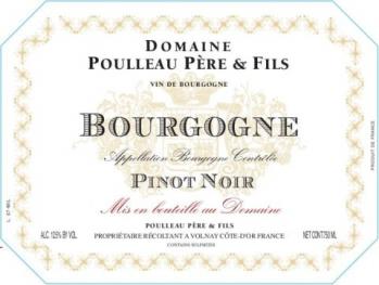 Domaine Poulleau - Poulleau Bourgogne Pinot Noir 2020 (750ml) (750ml)