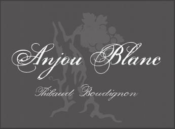 Thibaud Boudignon - Boudignon Anjou Blanc 2020 (750ml) (750ml)
