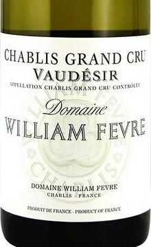 William Fvre - Chablis Vaudsir 2009 (750ml) (750ml)